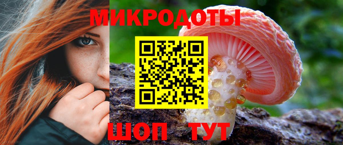 Галлюциногенные грибы Psilocybine cubensis Ливны