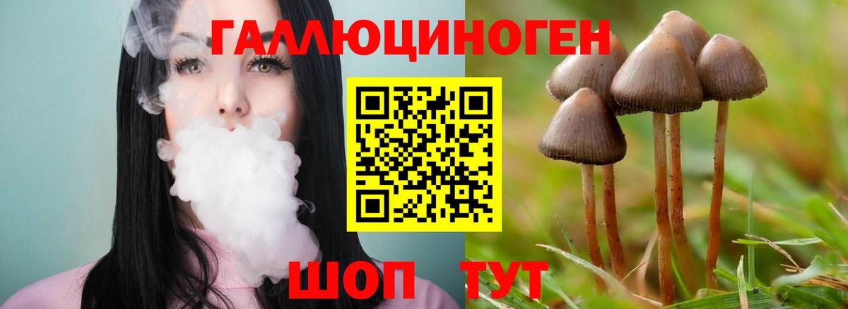 Ливны  Псилоцибиновые грибы Psilocybine cubensis  купить наркотик  Вход с VPN  Псилоцибиновые грибы мицелий 